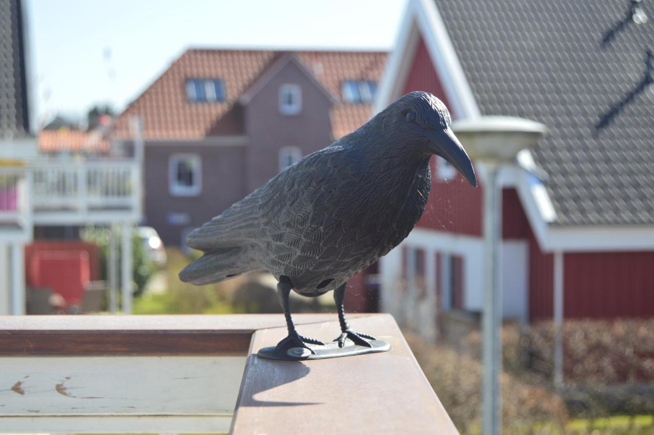Sonnendeck *